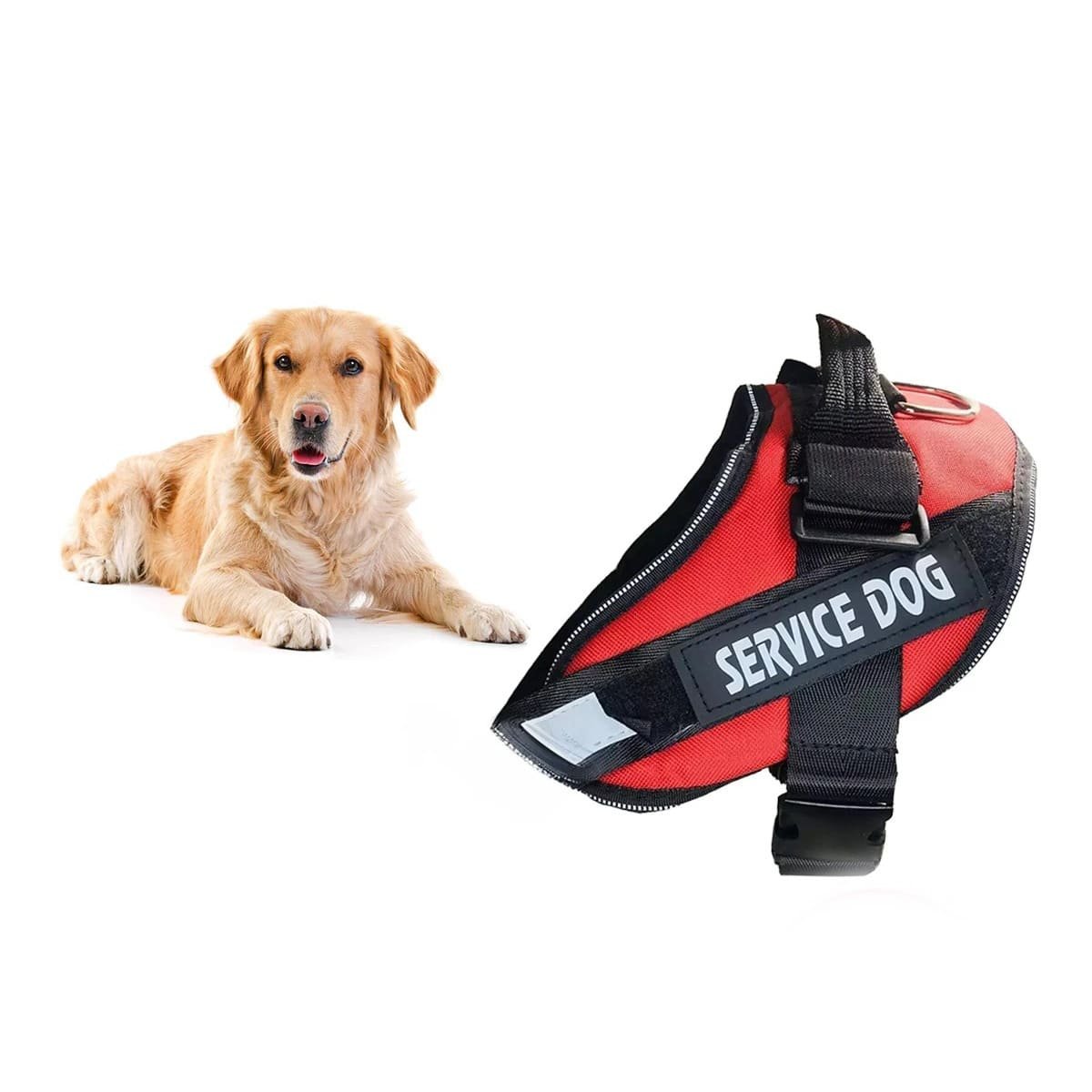 PACK6 CHALECO AJUSTABLE PARA PERRO DE SERVICIO TALLA L ROJO Y+REGALO STICKER - 2