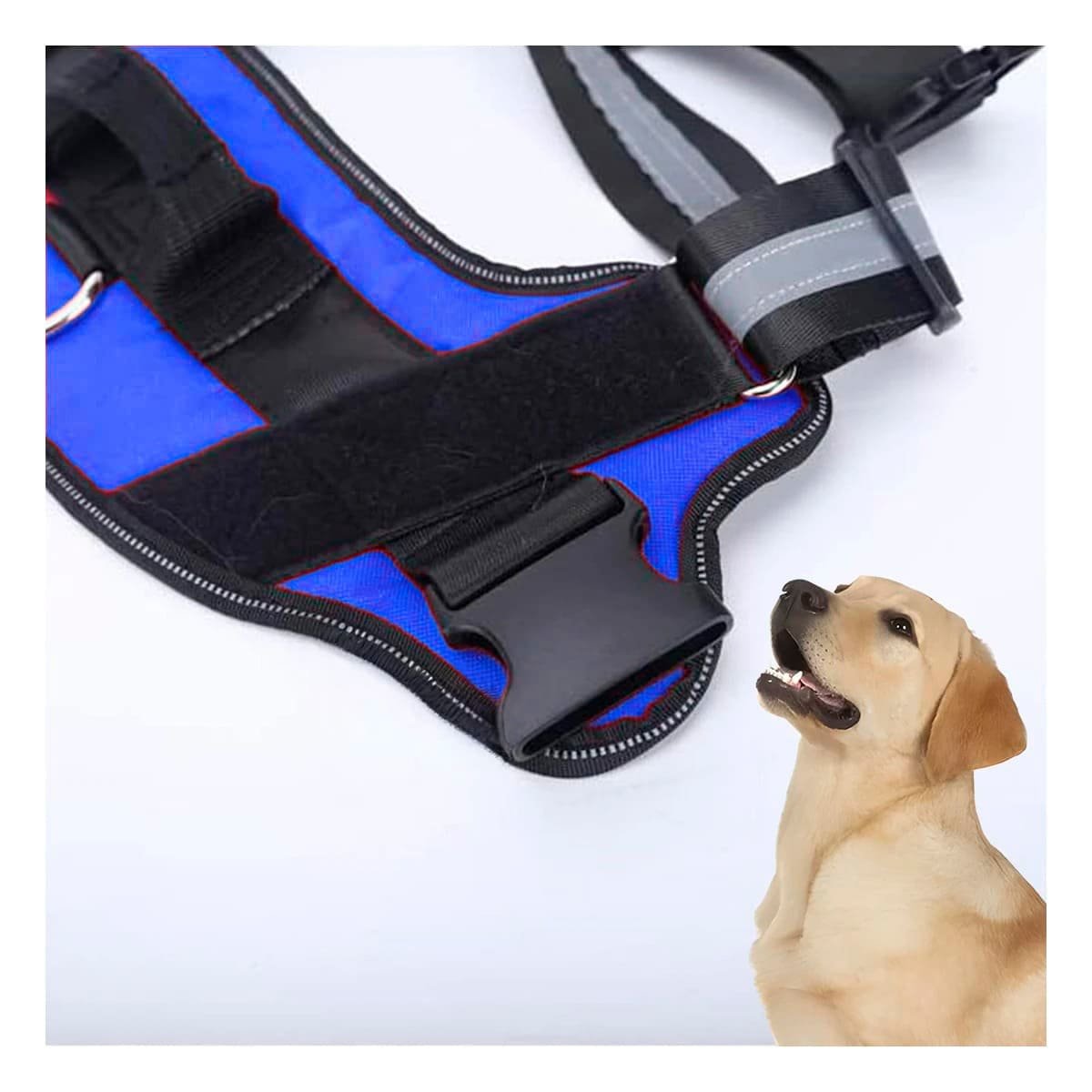 PACK2 CHALECO DE TRABAJO PARA PERRO TALLA M COLOR AZUL - 5