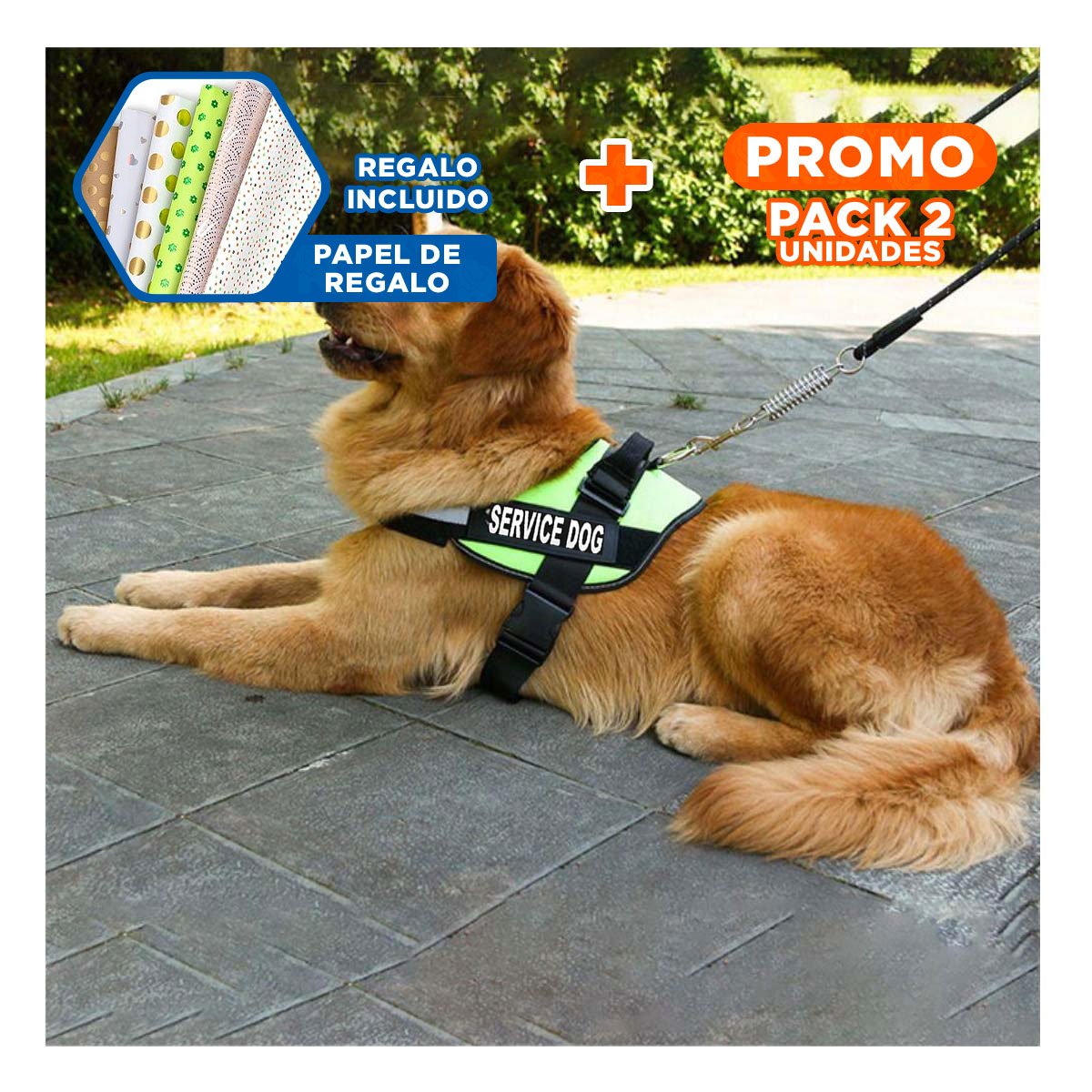 PACK2 ARNES DE TRABAJO PARA PERRO TALLA L COLOR VERDE Y+PAPEL REGALO - 1