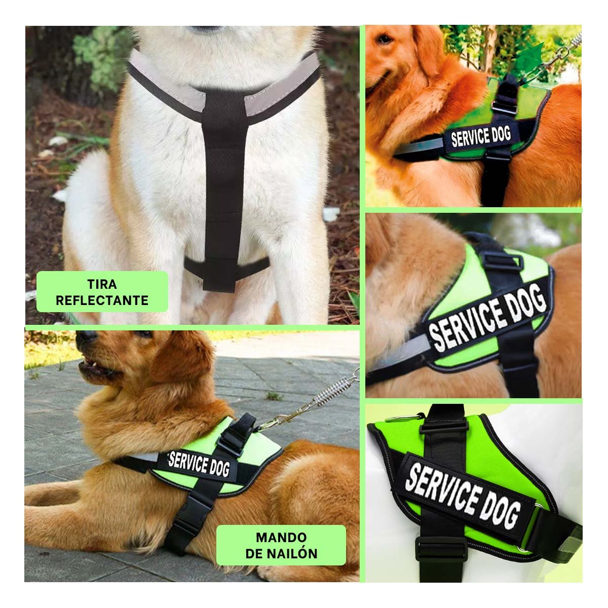 PACK2 ARNES DE TRABAJO PARA PERRO TALLA L COLOR VERDE Y+PAPEL REGALO - 3