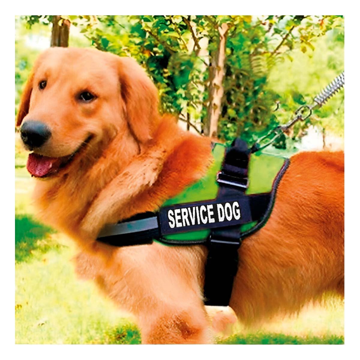 PACK2 ARNES DE TRABAJO PARA PERRO TALLA L COLOR VERDE Y+PAPEL REGALO - 5