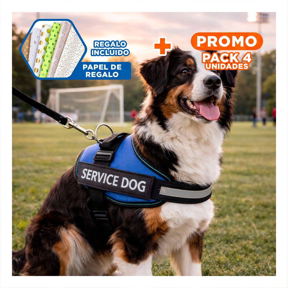 PACK4 PECHERA AJUSTABLE PARA PERRO DE SERVICIO TALLA M AZUL Y+PAPEL REGALO - 1