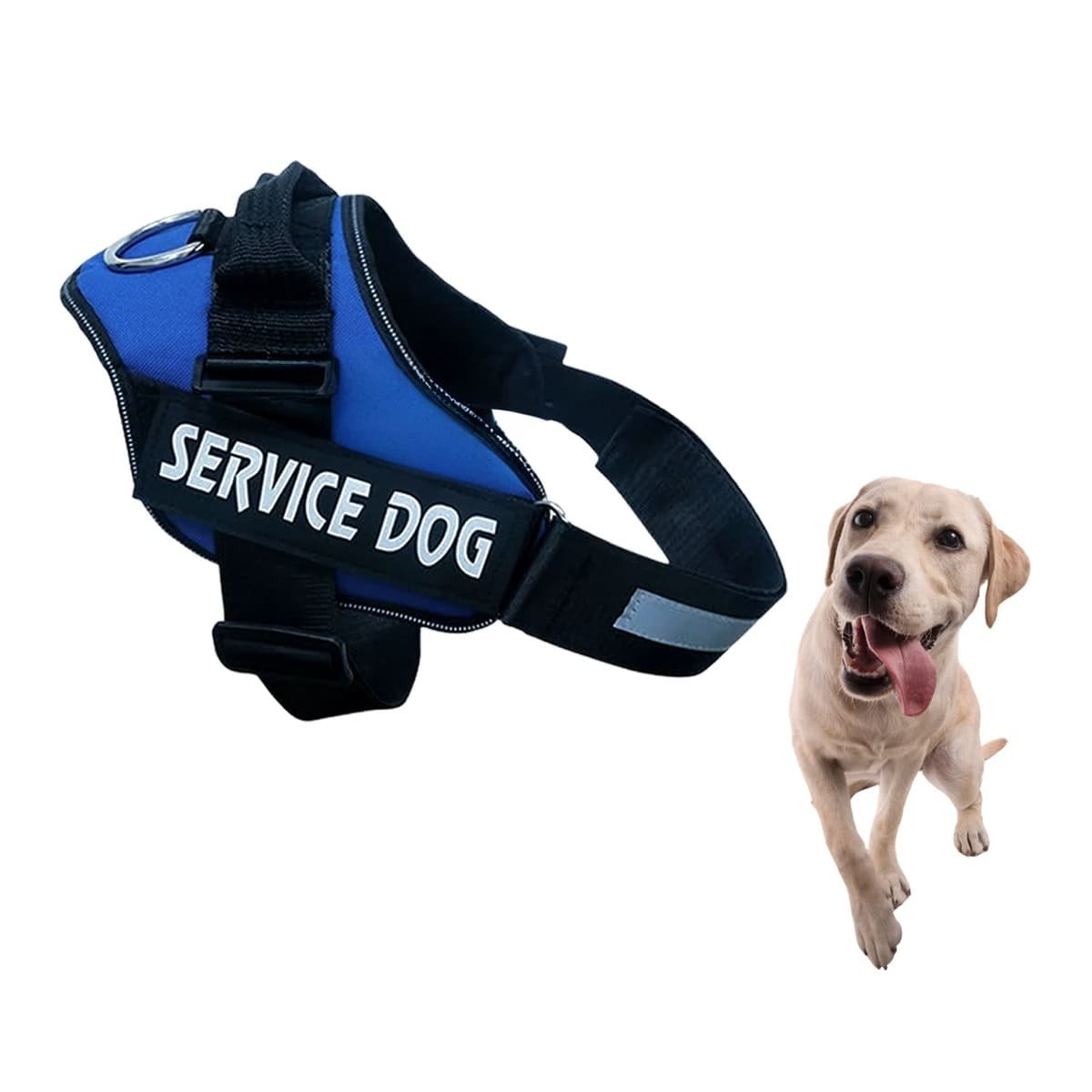 PACK4 PECHERA AJUSTABLE PARA PERRO DE SERVICIO TALLA M AZUL Y+PAPEL REGALO - 3