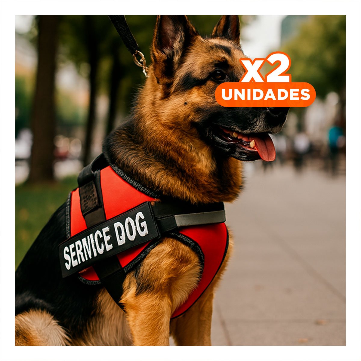 PACK2 PECHERA DE TRABAJO PARA PERRO TALLA L COLOR ROJO Y+REGALO STICKER - 1