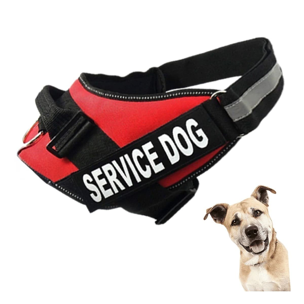 PACK2 PECHERA DE TRABAJO PARA PERRO TALLA L COLOR ROJO Y+REGALO STICKER - 2