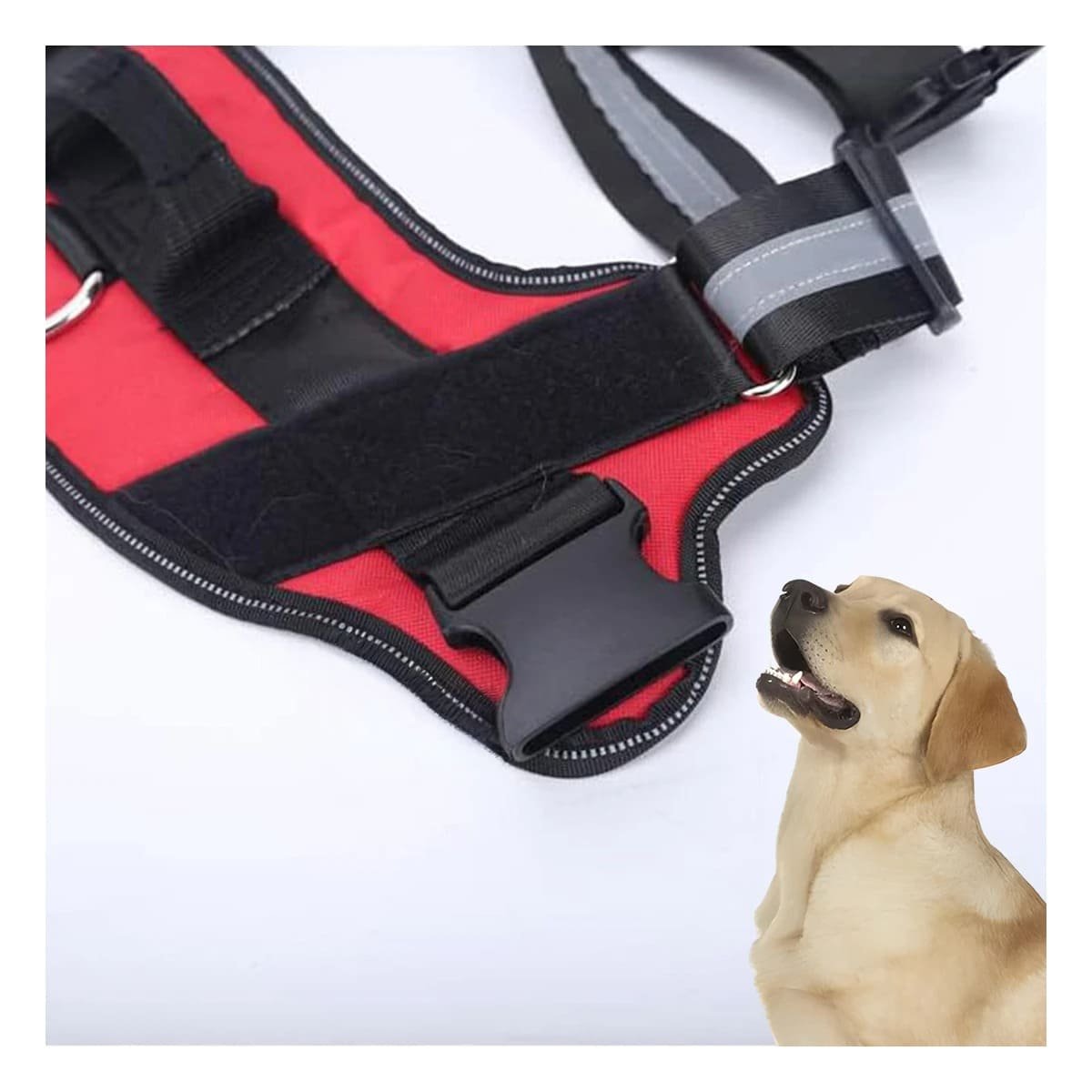 PACK2 PECHERA DE TRABAJO PARA PERRO TALLA L COLOR ROJO Y+REGALO STICKER - 5