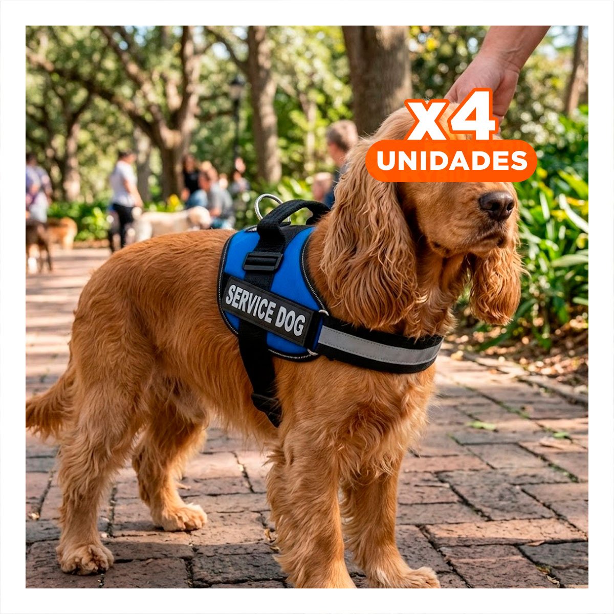 PACK4 ARNES AJUSTABLE PARA PERRO DE SERVICIO TALLA M AZUL - 1
