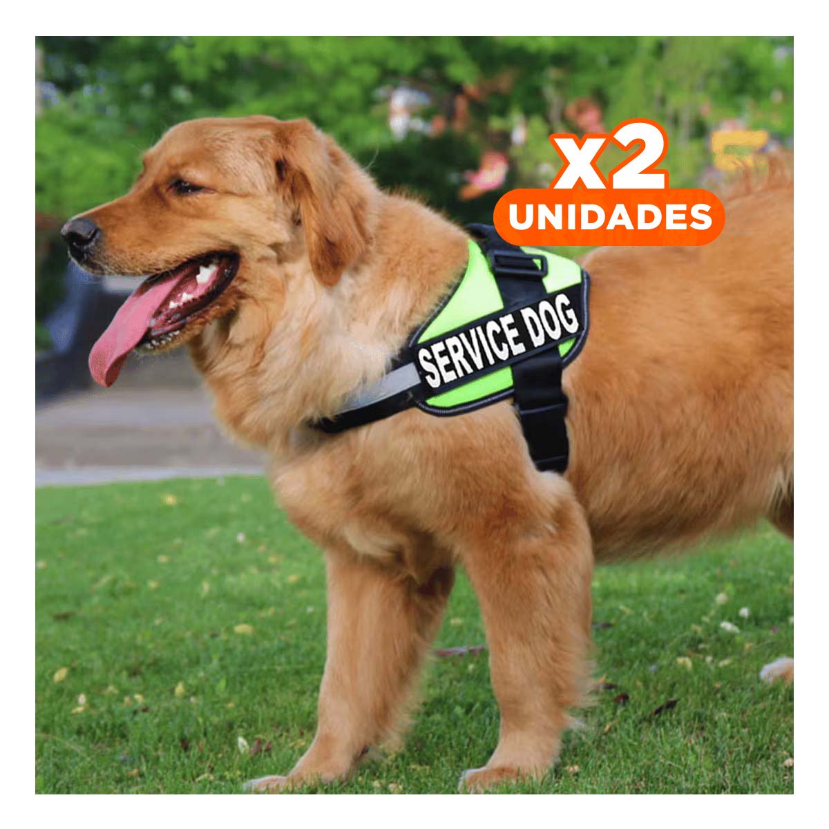 PACK2 PECHERA DE TRABAJO PARA PERRO TALLA L COLOR VERDE Y+REGALO STICKER - 1