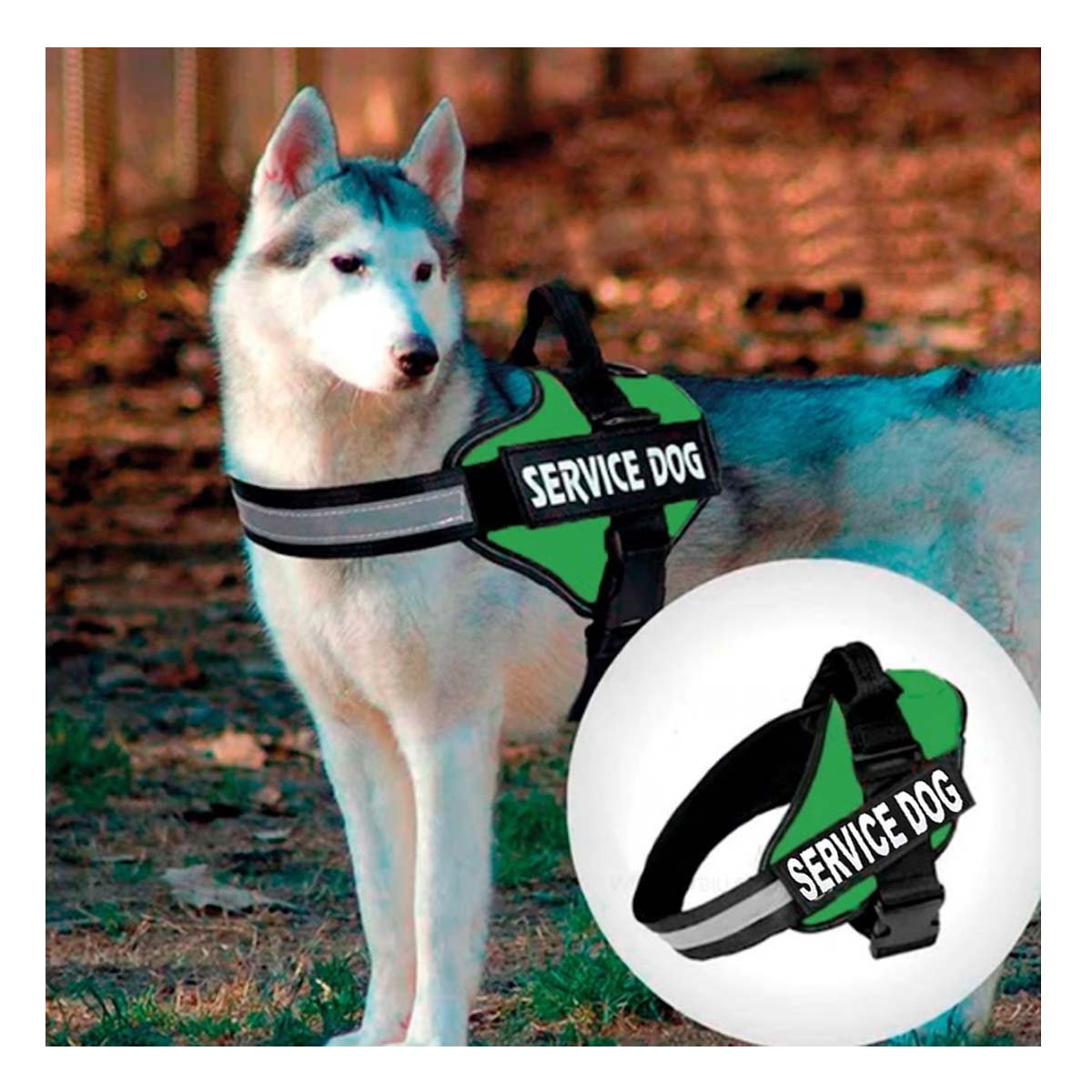 PACK2 PECHERA DE TRABAJO PARA PERRO TALLA L COLOR VERDE Y+REGALO STICKER - 5