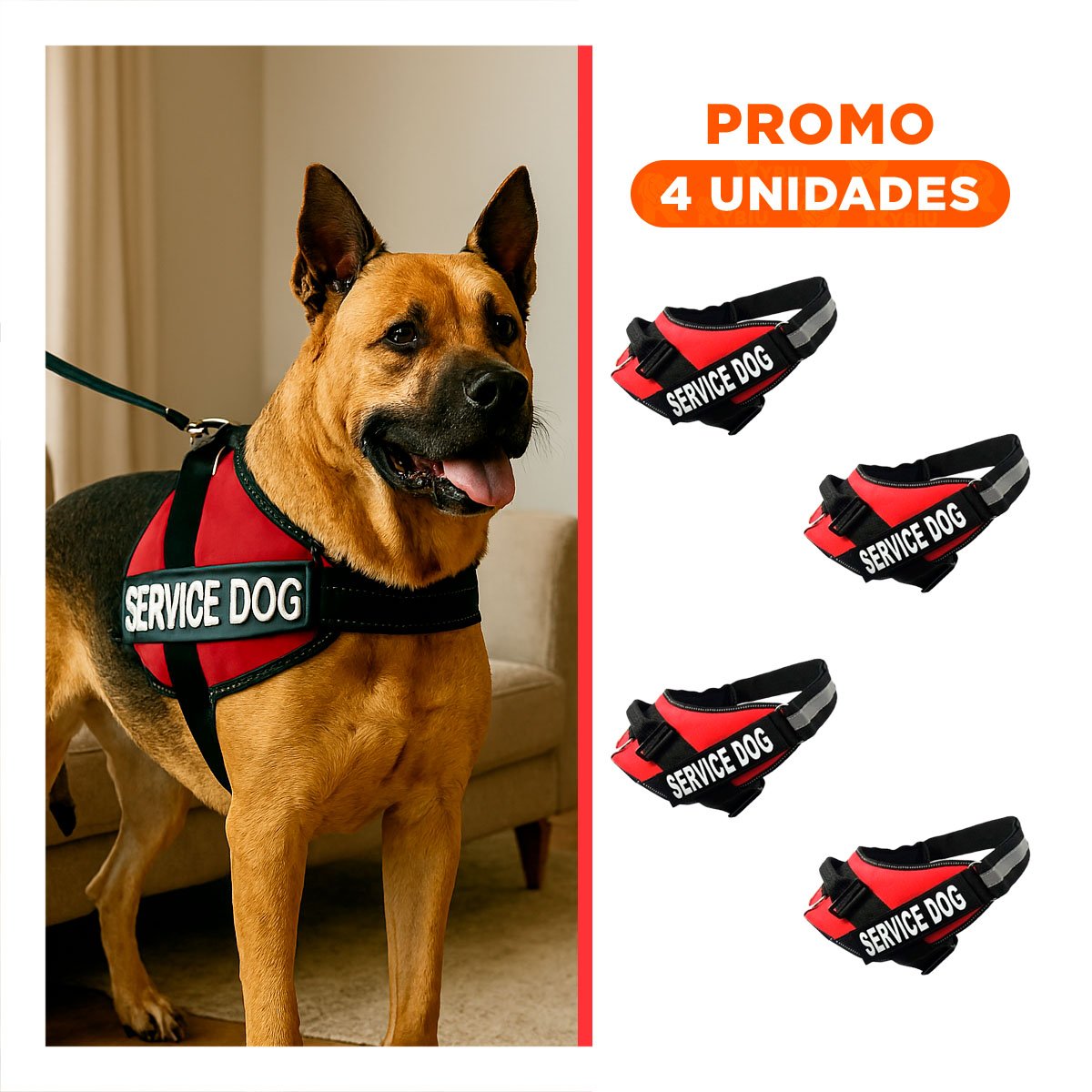 PACK4 CINTURON DE TRABAJO PARA PERRO TALLA L COLOR ROJO Y+REGALO STICKER - 1