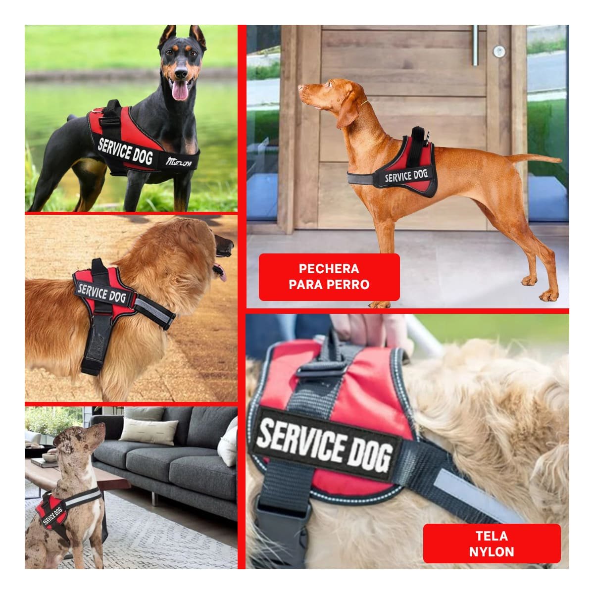 PACK2 ARNES DE TRABAJO PARA PERRO TALLA L COLOR ROJO Y+PAPEL REGALO - 3