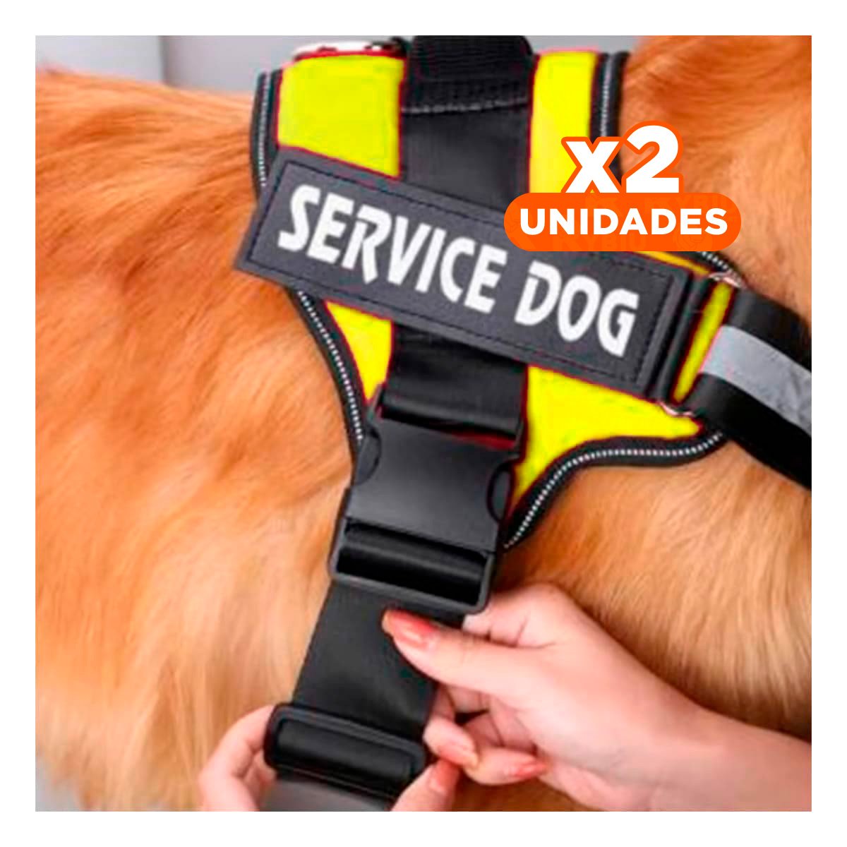 PACK2 CINTURON DE TRABAJO PARA PERRO TALLA M COLOR AMARILLO Y+REGALO STICKER - 1