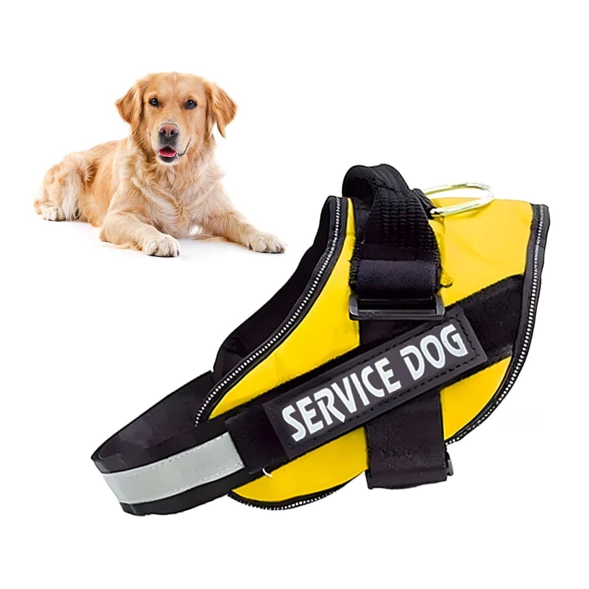 PACK6 ARNES RESISTENTE PARA PERRO DE SERVICIO TALLA M AMARILLO Y+REGALO STICKER - 2