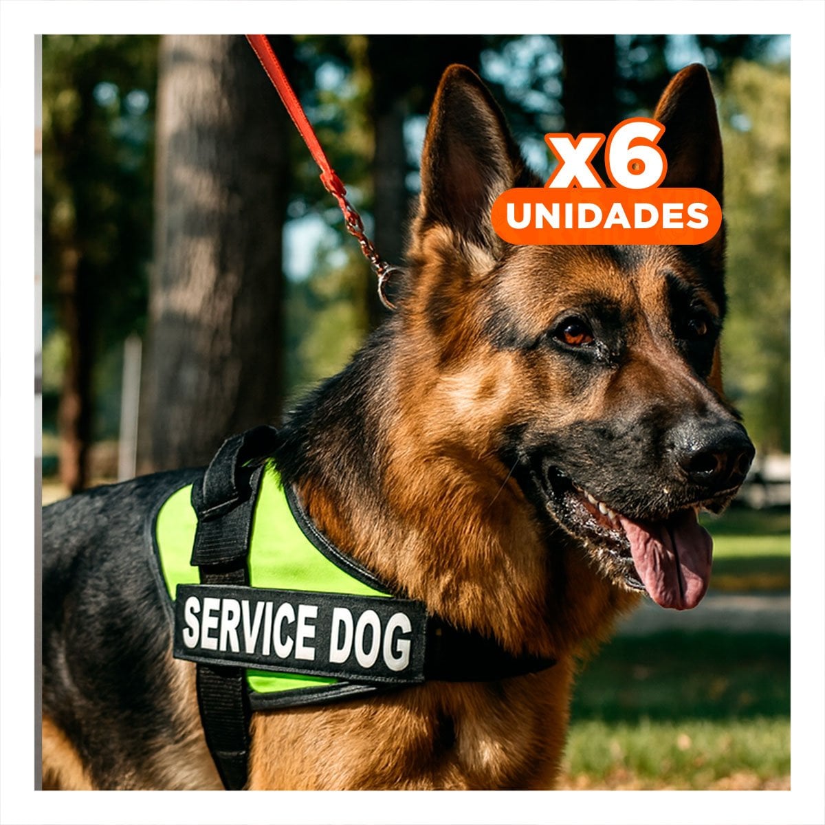 PACK6 CHALECO AJUSTABLE PARA PERRO DE SERVICIO TALLA L VERDE Y+REGALO STICKER - 1