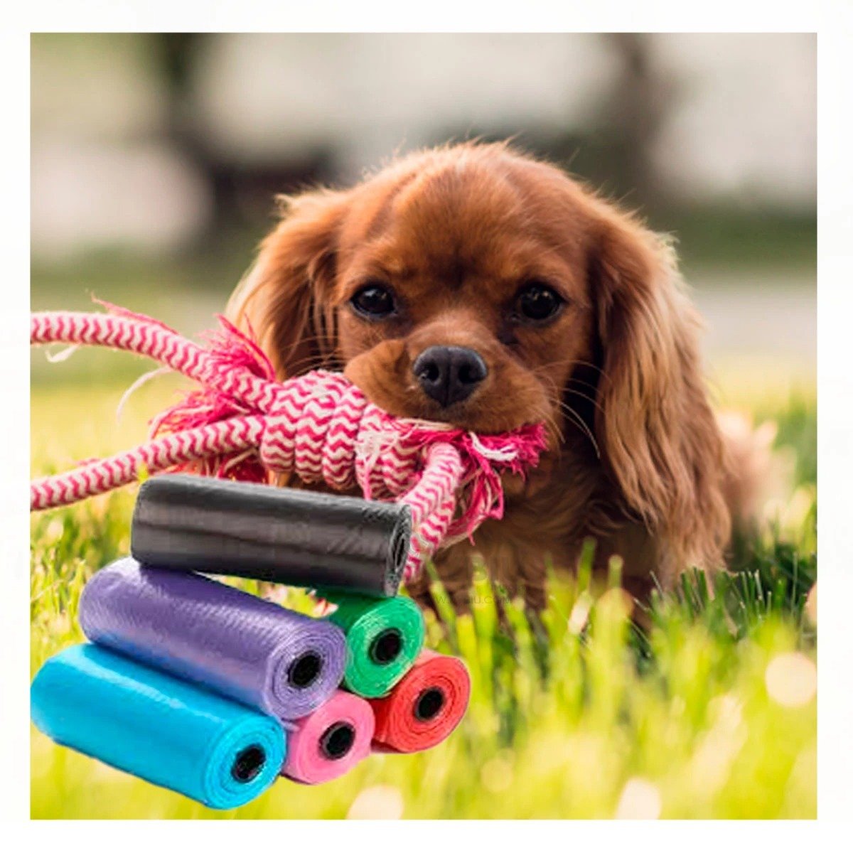 PACK4 ROLLO COMPACTO DE 5 BOLSAS DESECHABLES EN FORMA DE HUESO RESISTENTE Y+REGALO STICKER - 5