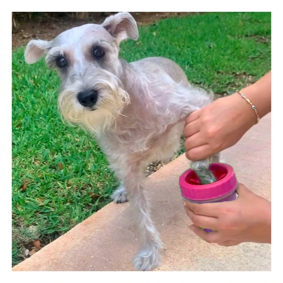 PACK12 CEPILLO PARA LIMPIAR PATAS DE MASCOTA ROSADO USO DIARIO - 3