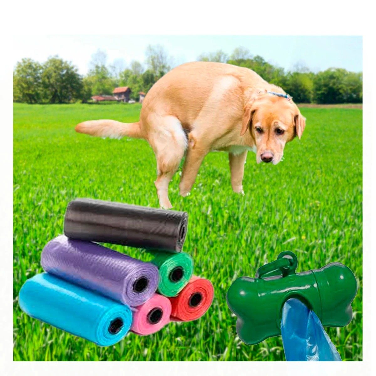 PACK4 ROLLO DE 5 BOLSAS DESECHABLES CON PORTA BOLSA EN FORMA DE HUESO VERDE - 3
