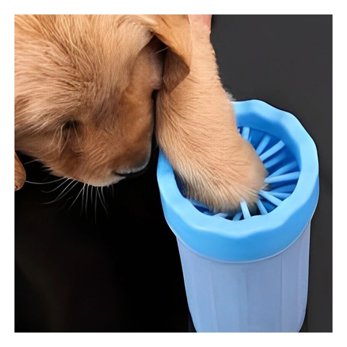 PACK12 CEPILLO PEQUENO PARA LIMPIAR PATAS DE MASCOTA CELESTE FÁCIL DE USAR Y+PAPEL REGALO - 5