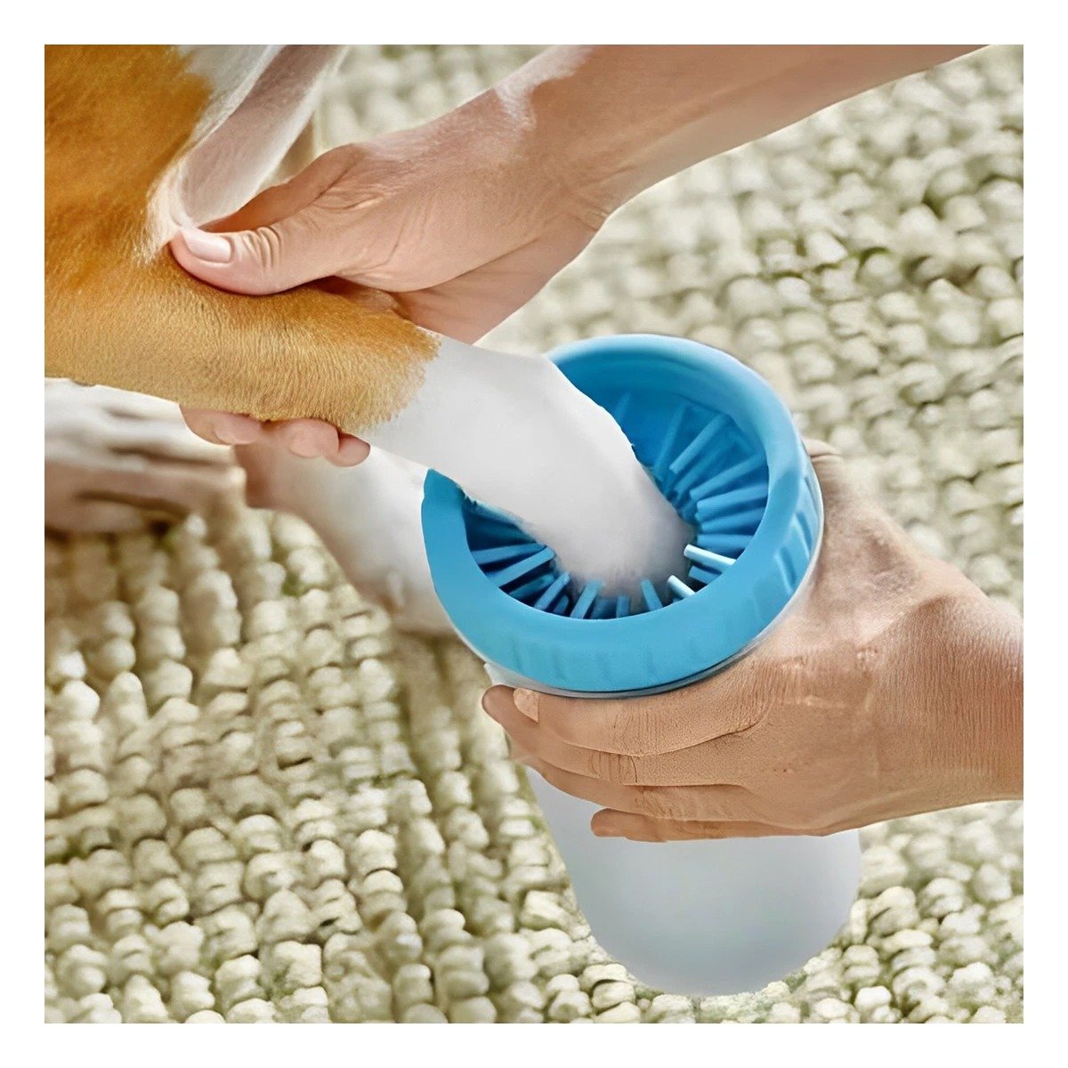 PACK6 HERRAMIENTA DE JUEGO PARA LIMPIAR PATAS DE MASCOTA CELESTE SEGURO Y EFICAZ - 2