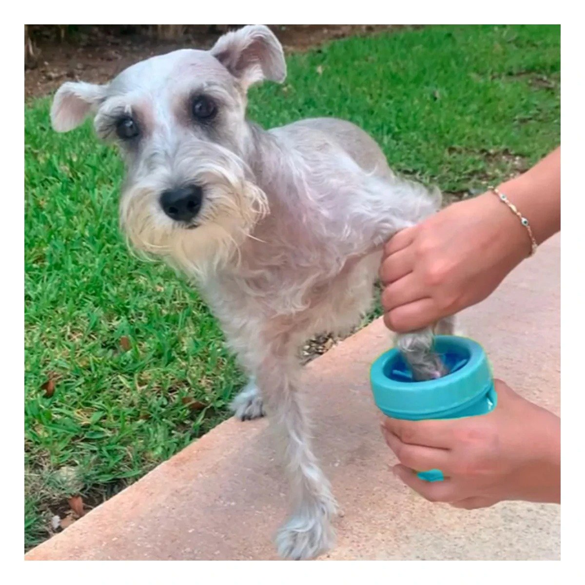 PACK6 HERRAMIENTA DE JUEGO PARA LIMPIAR PATAS DE MASCOTA CELESTE SEGURO Y EFICAZ - 3