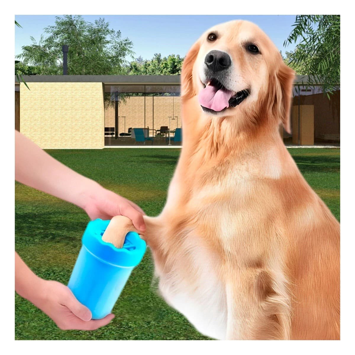 PACK6 HERRAMIENTA DE JUEGO PARA LIMPIAR PATAS DE MASCOTA CELESTE SEGURO Y EFICAZ - 5