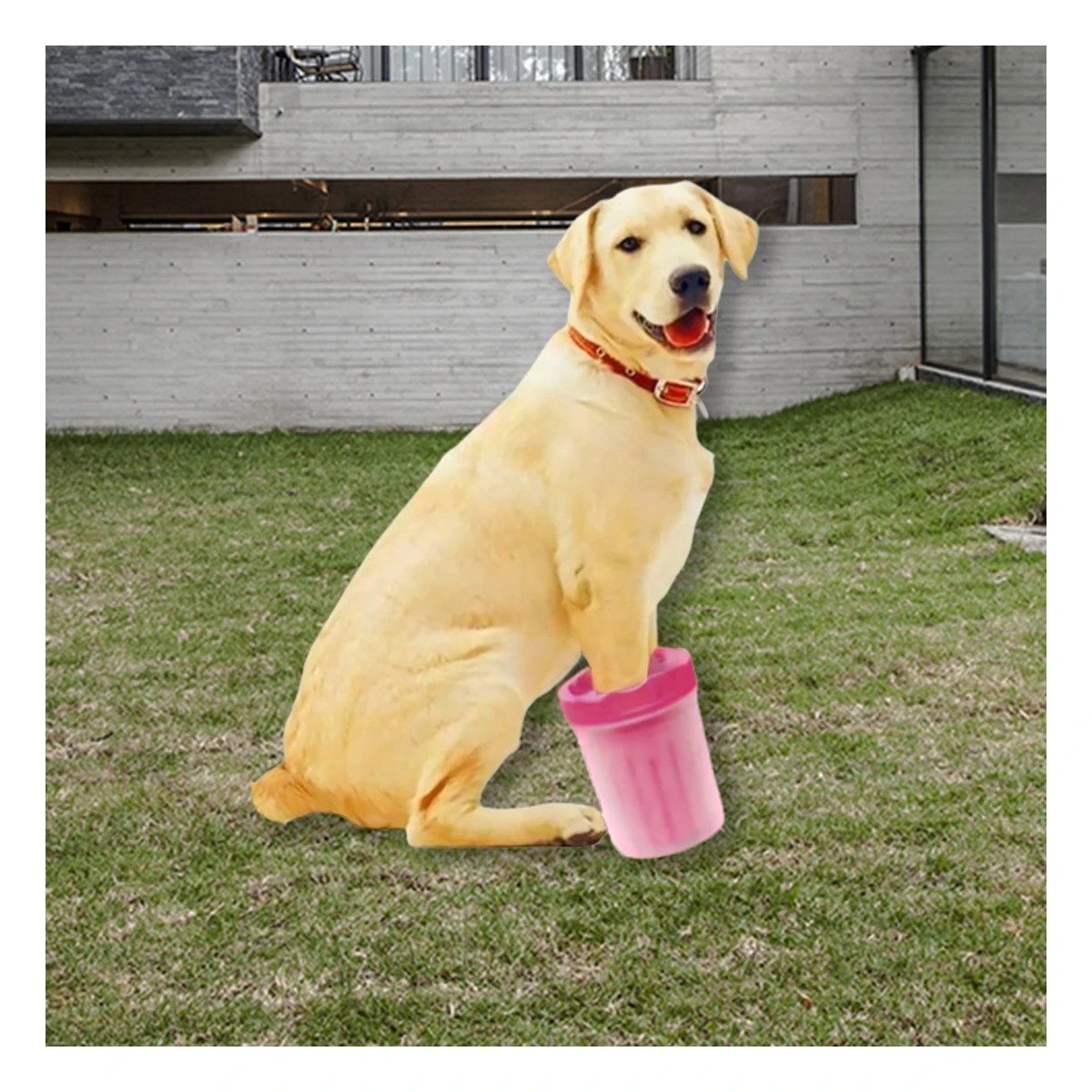 PACK2 APARATO PARA LIMPIAR PATAS DE MASCOTA ROSADO DISEÑO RESISTENTE - 3