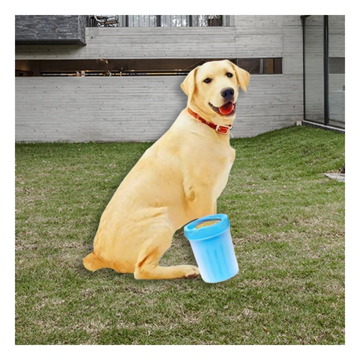 PACK12 CEPILLO INTERACTIVO PARA LIMPIAR PATAS DE MASCOTA CELESTE SEGURO - 3
