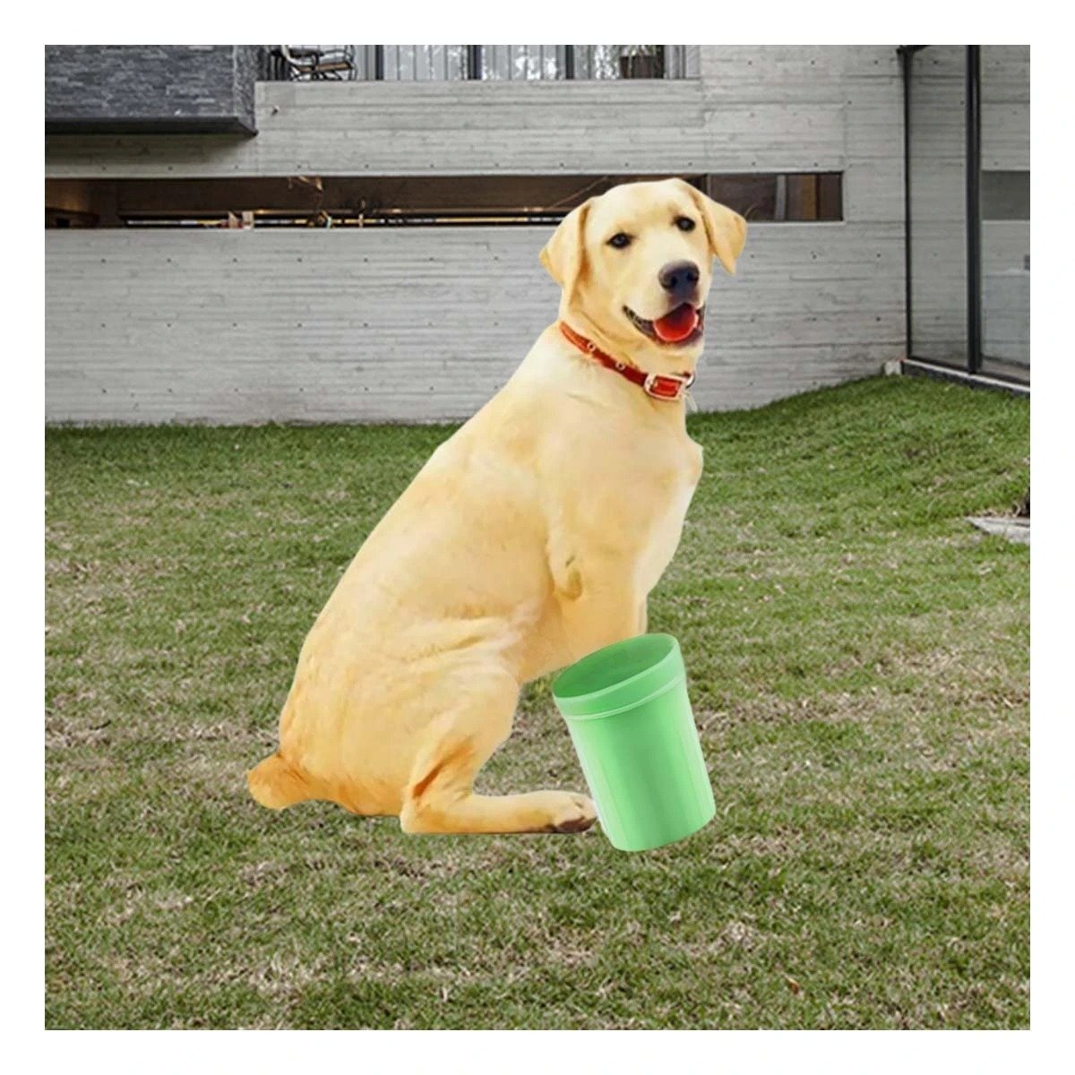 PACK2 APARATO PARA LIMPIAR PATAS DE MASCOTA VERDE CUIDADO COMPLETO Y+REGALO STICKER - 3