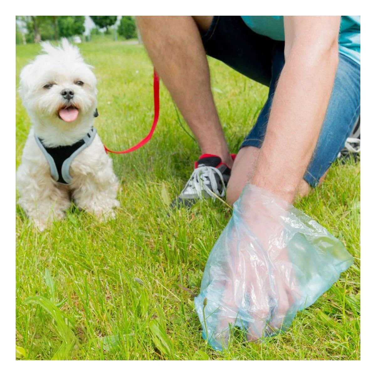 PACK12 RECARGA LIGERA DE BOLSAS DESECHABLES PARA POPO DE MASCOTAS RESISTENTES Y+PAPEL REGALO - 3
