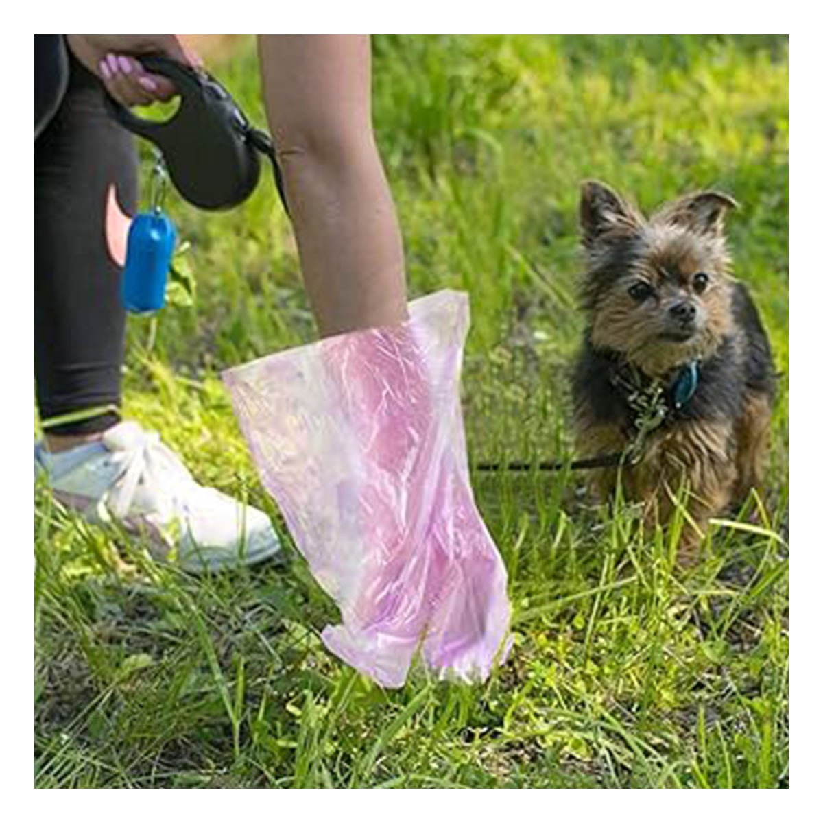 PACK6 RECARGA DE BOLSAS DESECHABLES PARA POPO DE MASCOTAS COMPACTA Y+REGALO STICKER - 5