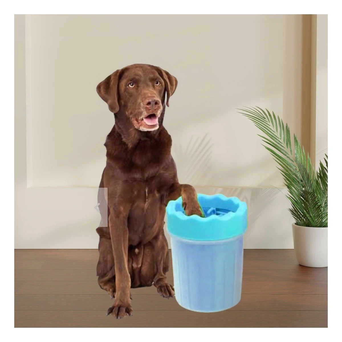 PACK2 APARATO DE JUEGO PARA LIMPIAR PATAS DE MASCOTA CELESTE SEGURO Y DIVERTIDO Y+PAPEL REGALO - 2