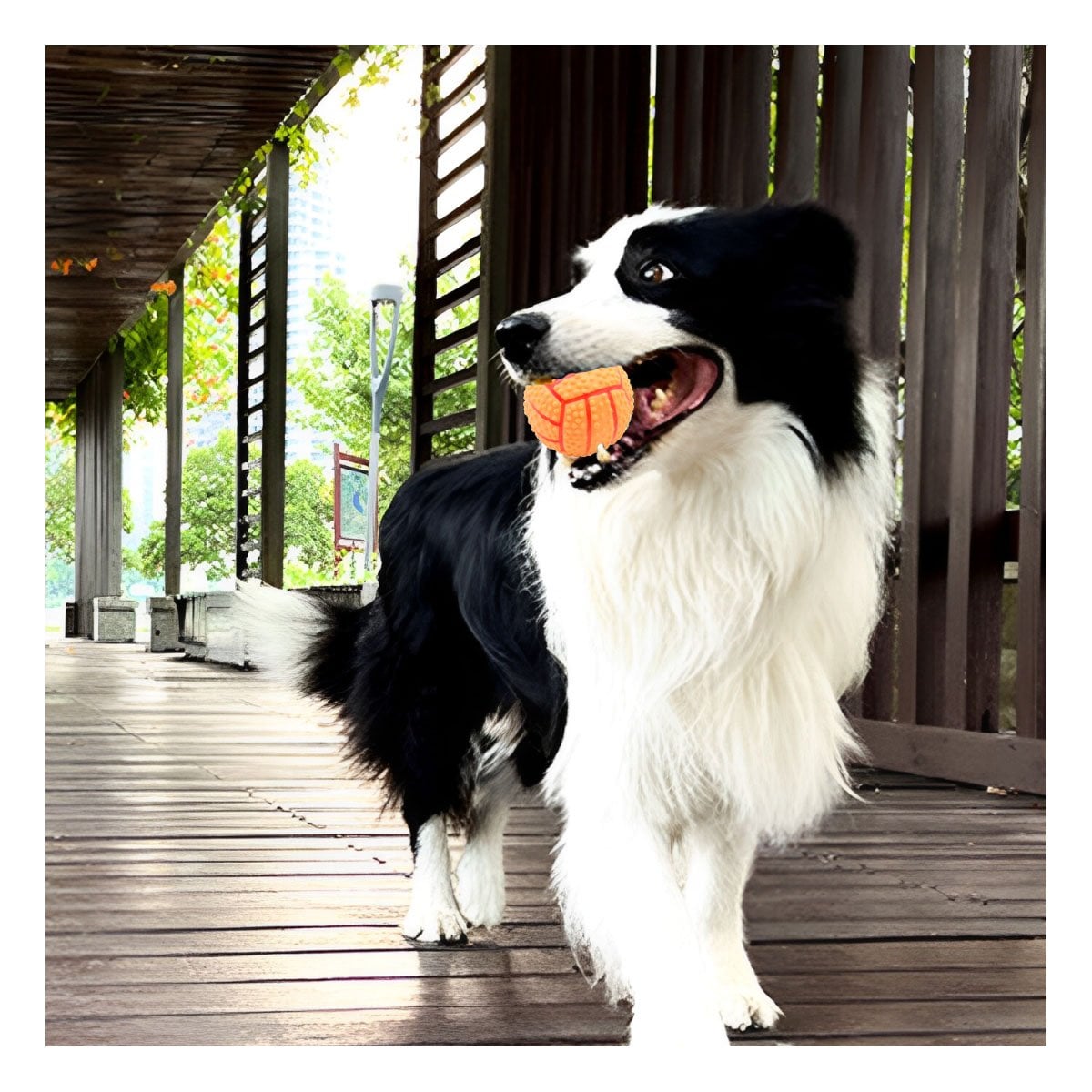 PACK2 ACCESORIO DE JUEGO PARA PERRO DE CAUCHO ANARANJADO CON RAYAS Y SONIDO Y+PAPEL REGALO - 5