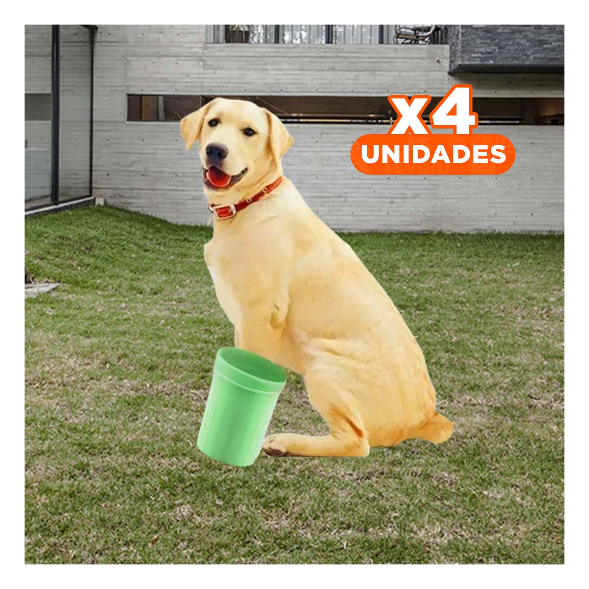 PACK4 HERRAMIENTA PARA LIMPIAR PATAS DE MASCOTA VERDE HIGIENE RÁPIDA - 1