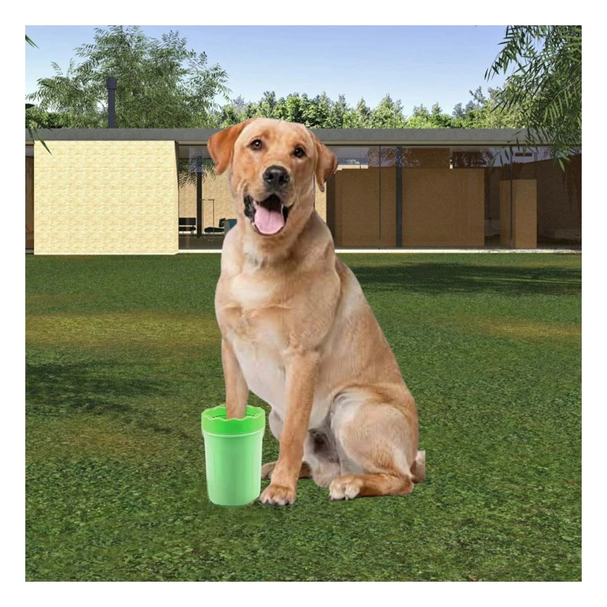 PACK6 HERRAMIENTA PARA LIMPIAR PATAS DE MASCOTA VERDE IDEAL EN CASA - 2