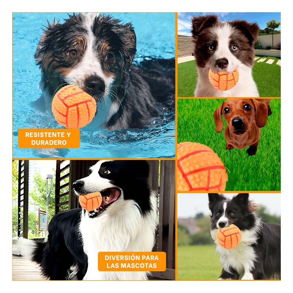 PACK4 SET PEQUENO PARA PERRO A RAYAS DE CAUCHO ANARANJADO SONIDO DIVERTIDO Y+REGALO STICKER - 2