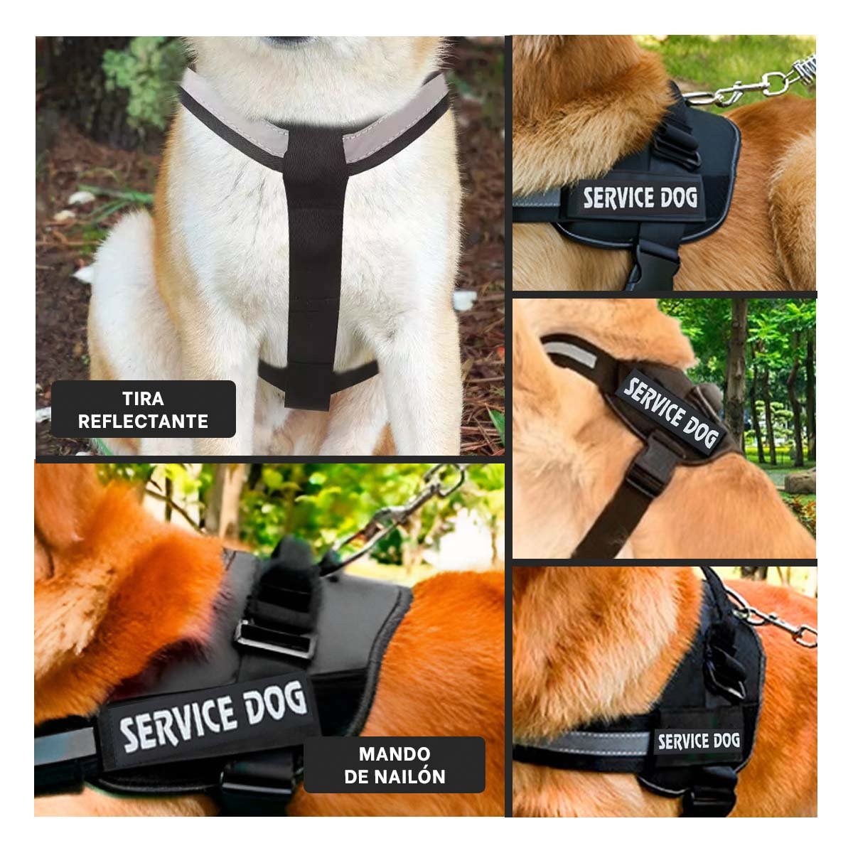 PACK4 CINTURON DE TRABAJO PARA PERRO TALLA L COLOR NEGRO Y+REGALO STICKER - 2