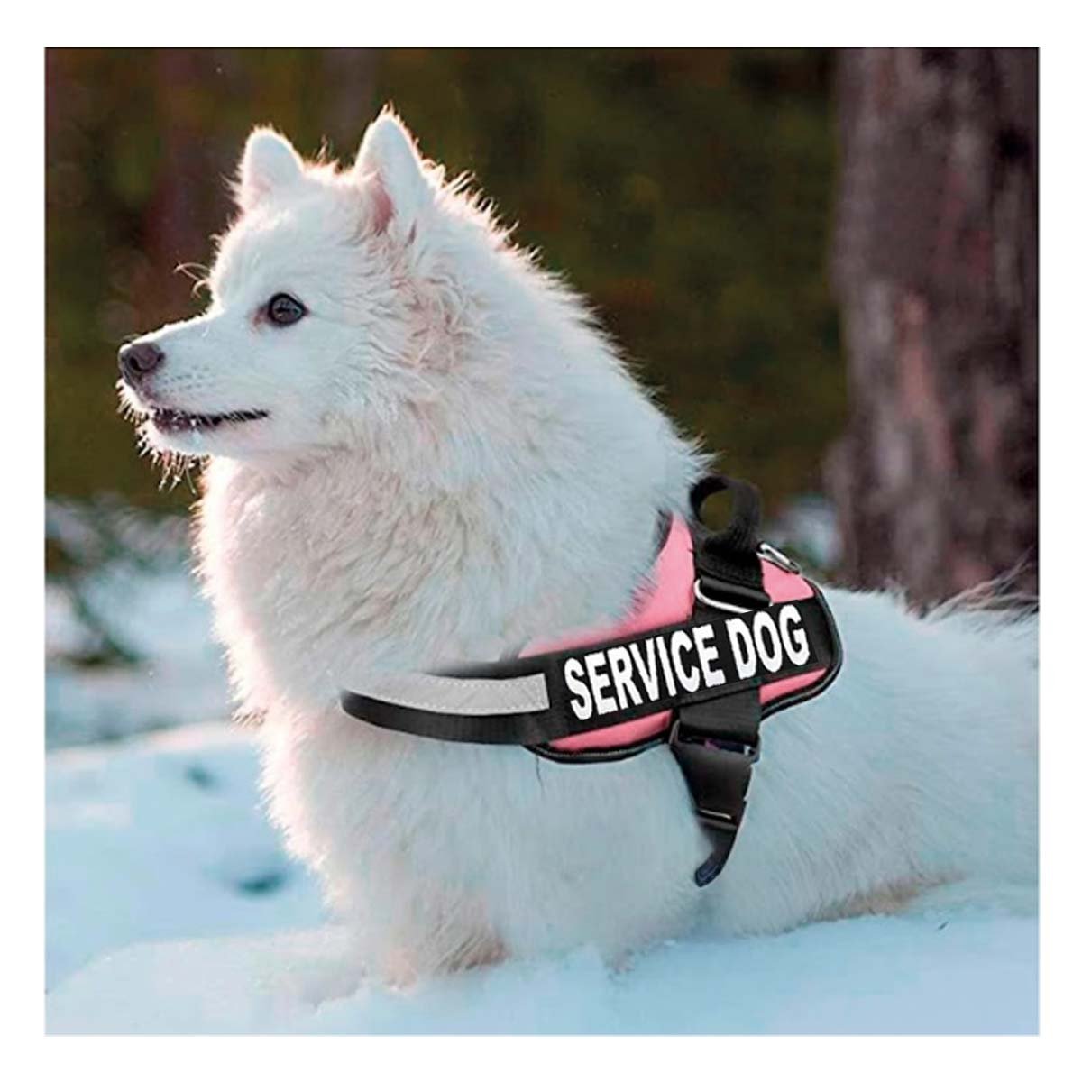 PACK2 CHALECO DE TRABAJO PARA PERRO TALLA L COLOR ROSADO Y+REGALO STICKER - 5