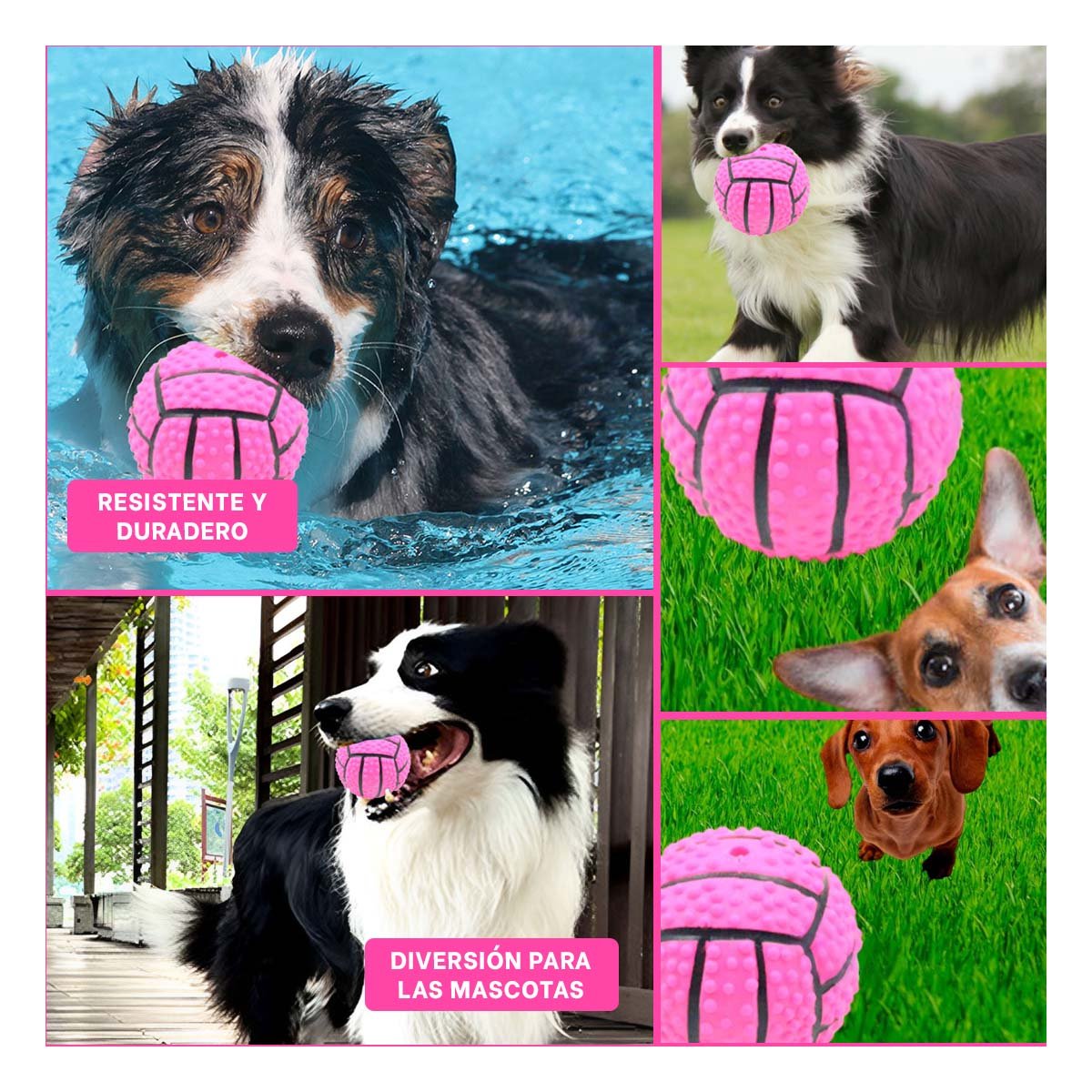 PACK4 SET PEQUENO PARA PERRO A RAYAS DE CAUCHO ROSADO CON SONIDO DIVERTIDO Y+REGALO STICKER - 2