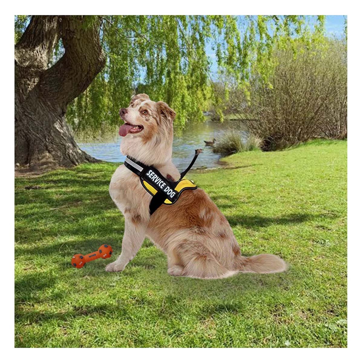 PACK6 CHALECO AJUSTABLE PARA PERRO DE SERVICIO TALLA L AMARILLO Y+PAPEL REGALO - 2
