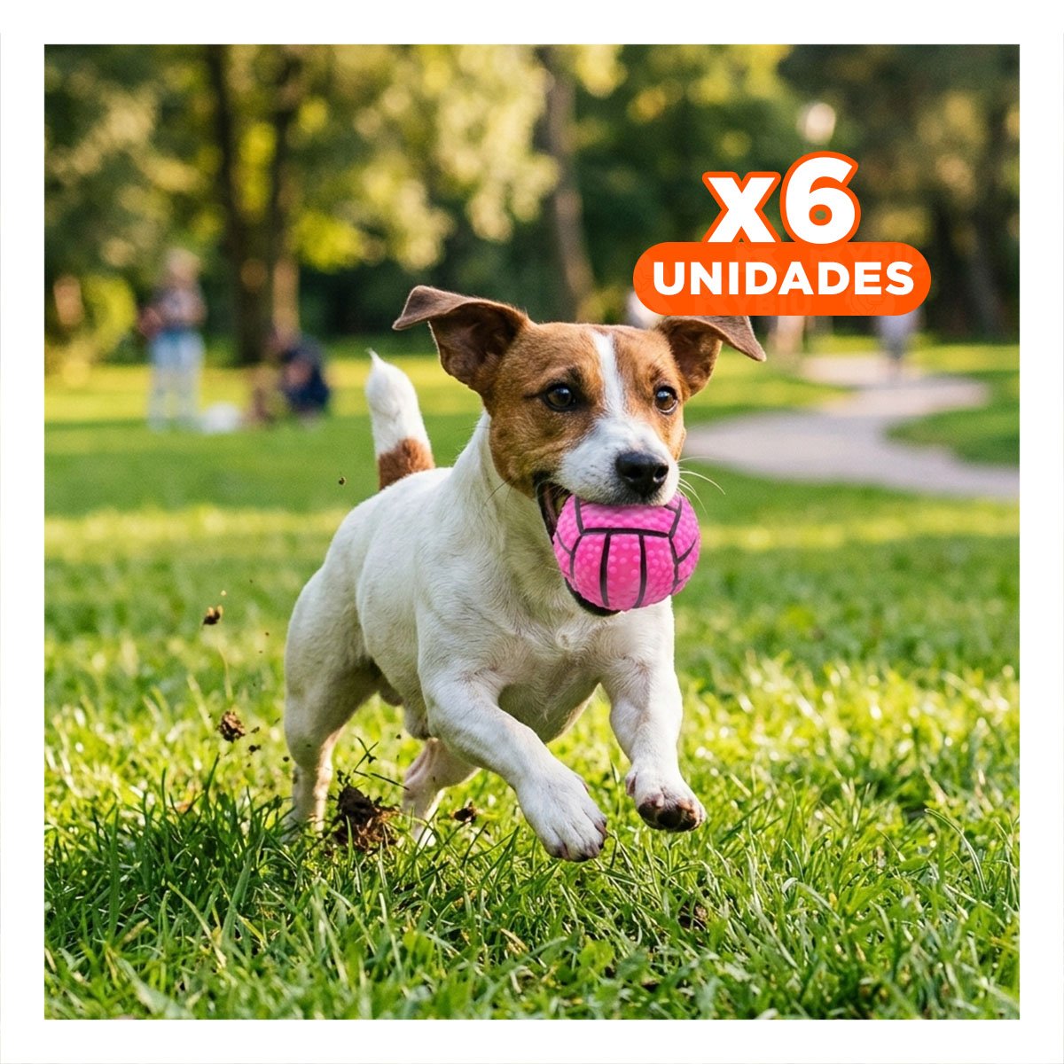 PACK6 KIT PARA PERRO A RAYAS DE CAUCHO ROSADO CON SONIDO SEGURO Y DIVERTIDO Y+REGALO STICKER - 1