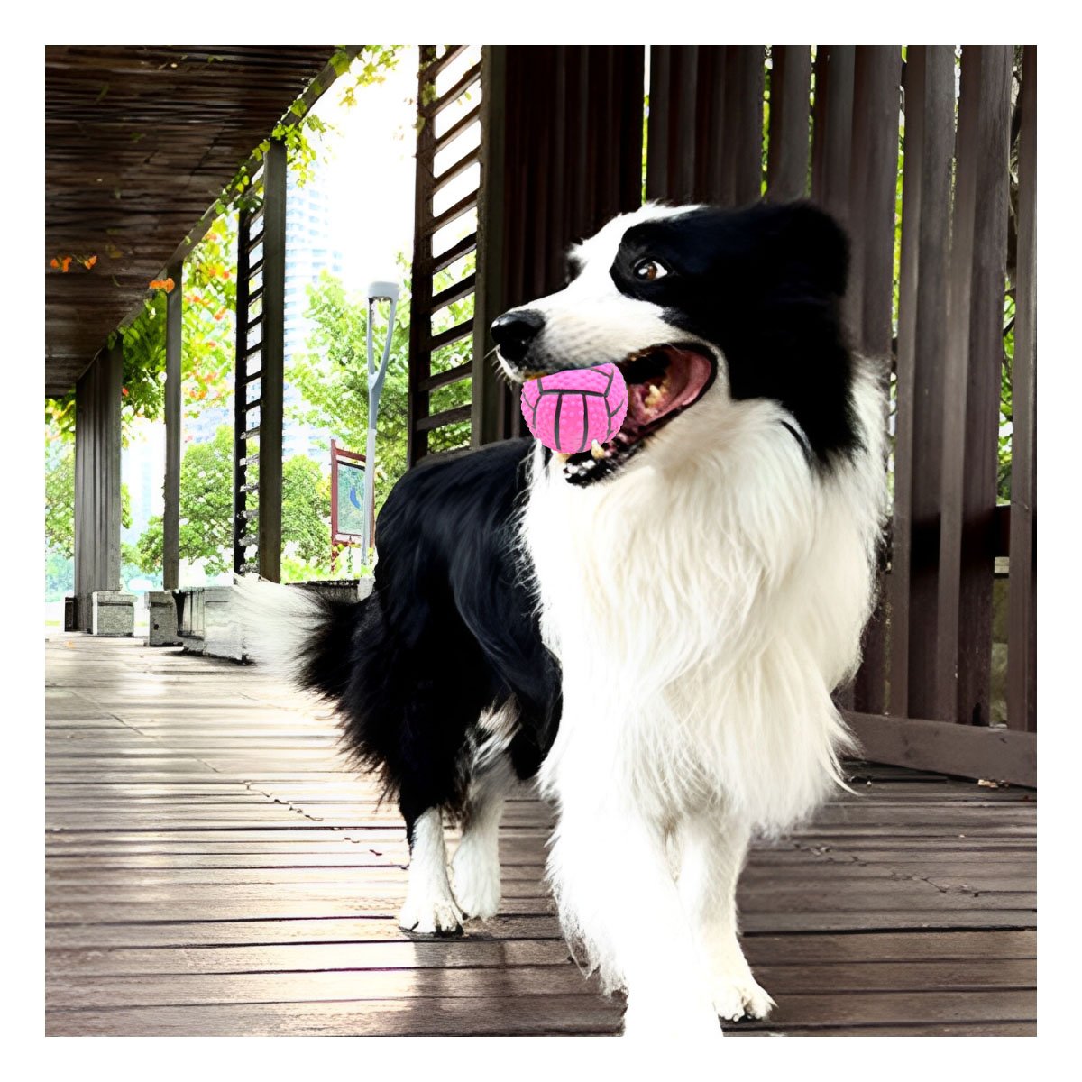 PACK6 KIT PARA PERRO A RAYAS DE CAUCHO ROSADO CON SONIDO SEGURO Y DIVERTIDO Y+REGALO STICKER - 3