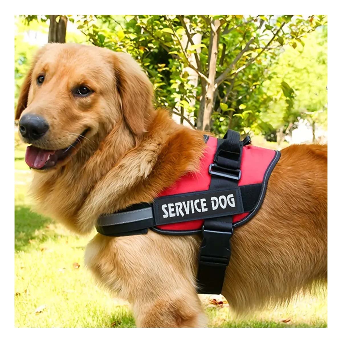 PACK6 PECHERA AJUSTABLE PARA PERRO DE SERVICIO TALLA L ANARANJADO Y+PAPEL REGALO - 5