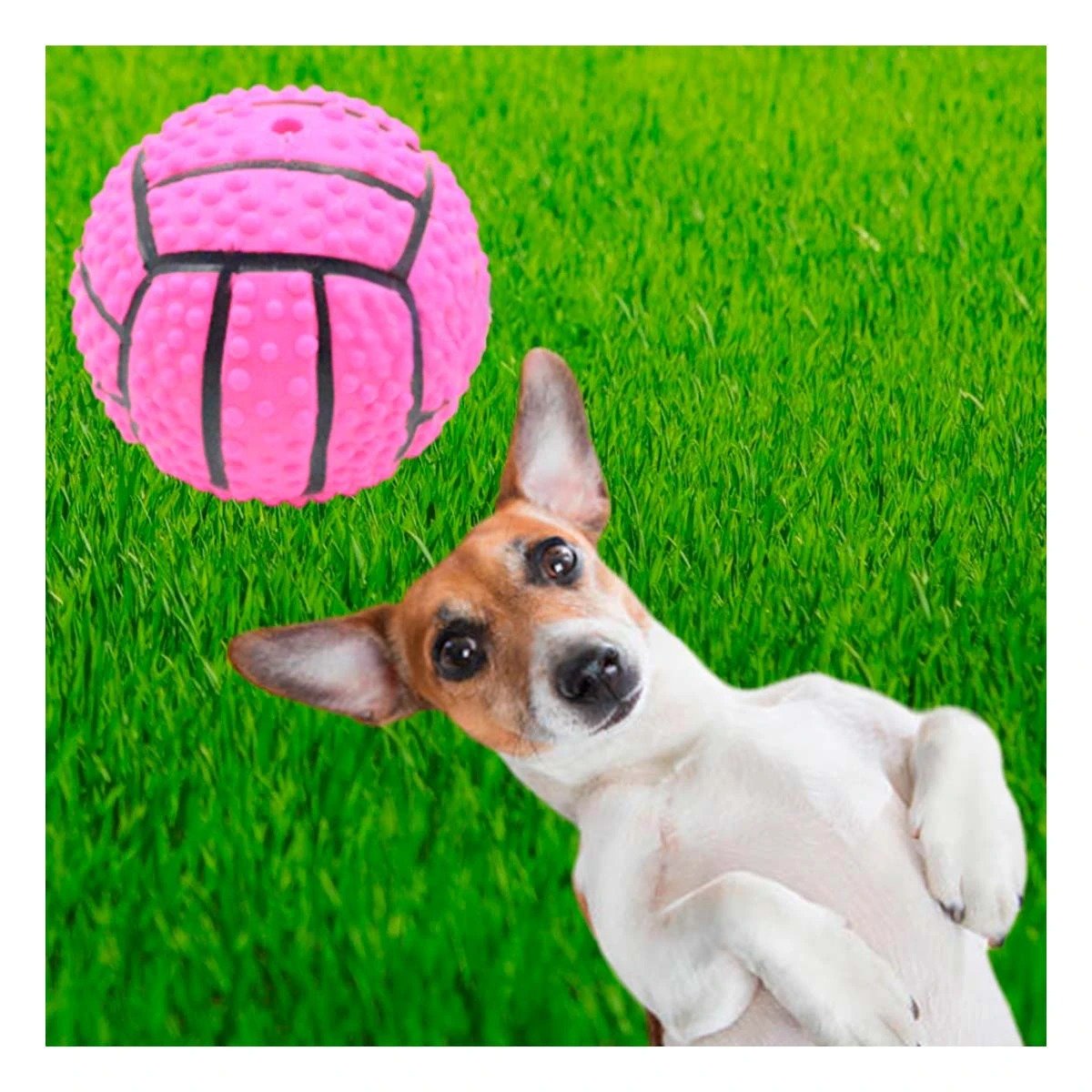 PACK4 SET PARA PERRO A RAYAS DE CAUCHO ROSADO CON SONIDO SEGURO Y DIVERTIDO - 3
