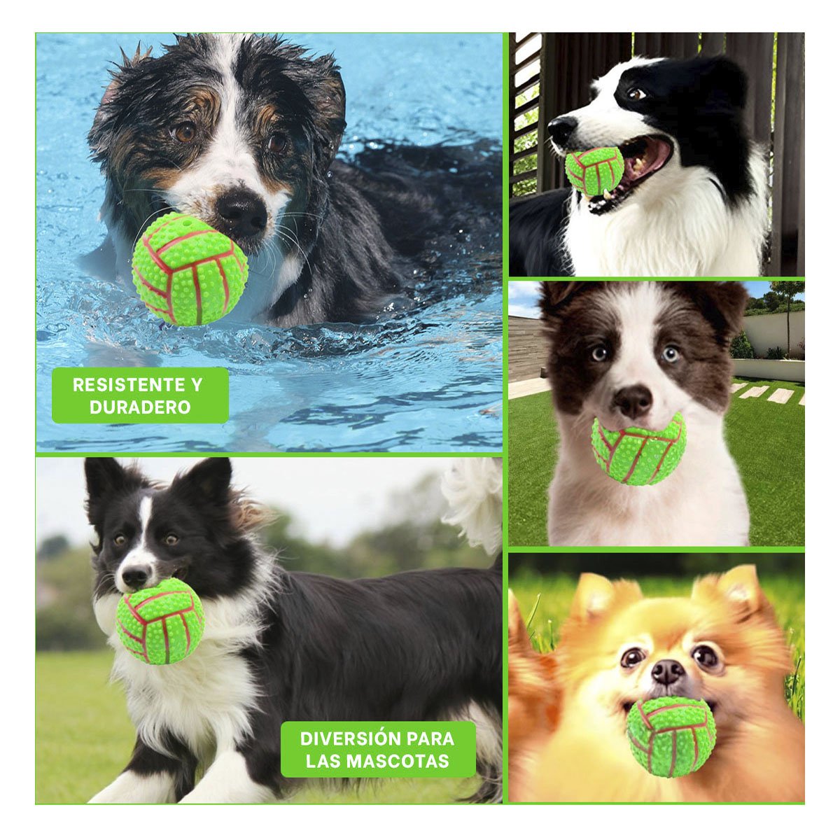 PACK4 SET PEQUENO VERDE PARA PERRO A RAYAS DE CAUCHO CON SONIDO Y+REGALO STICKER - 2
