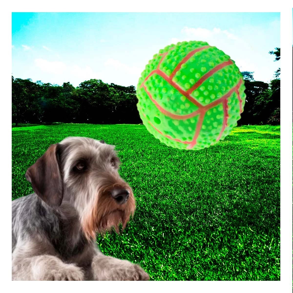 PACK4 SET PEQUENO VERDE PARA PERRO A RAYAS DE CAUCHO CON SONIDO Y+REGALO STICKER - 3