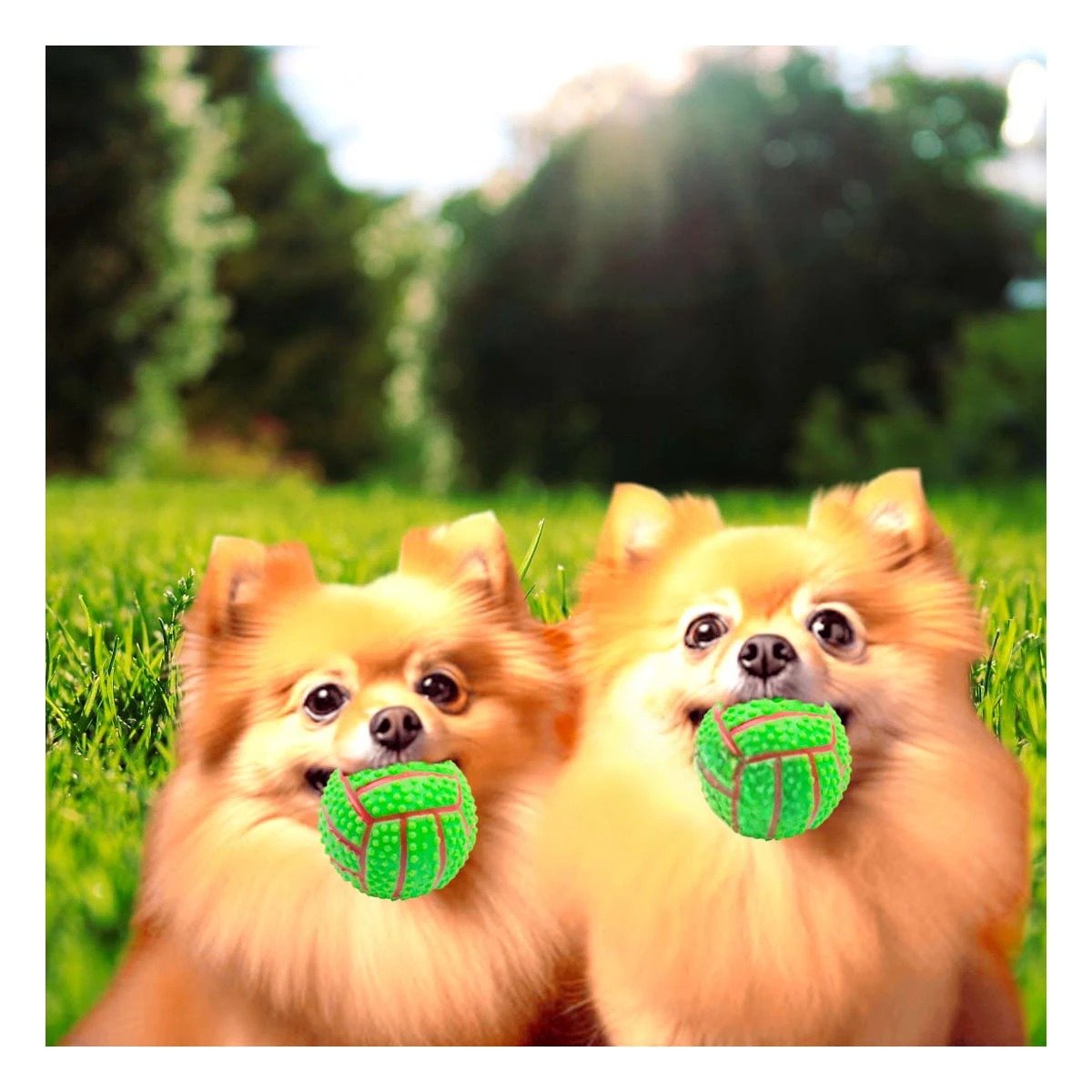 PACK4 SET PEQUENO VERDE PARA PERRO A RAYAS DE CAUCHO CON SONIDO Y+REGALO STICKER - 5