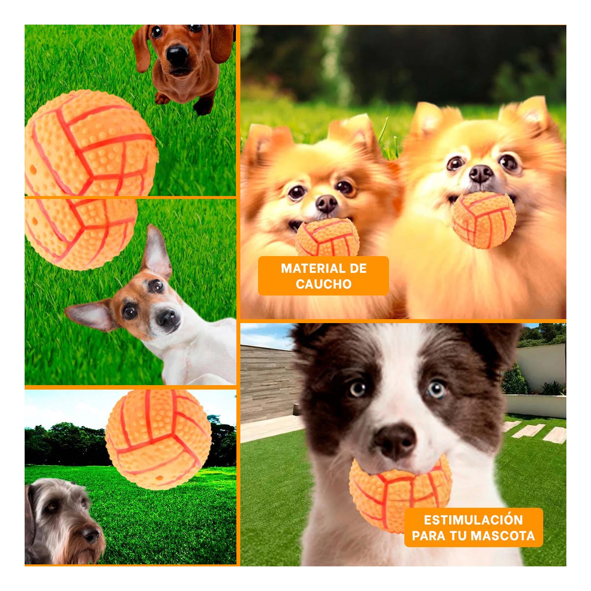 PACK6 SET RESISTENTE PARA PERRO A RAYAS DE CAUCHO ANARANJADO SONIDO DIVERTIDO Y+PAPEL REGALO - 3