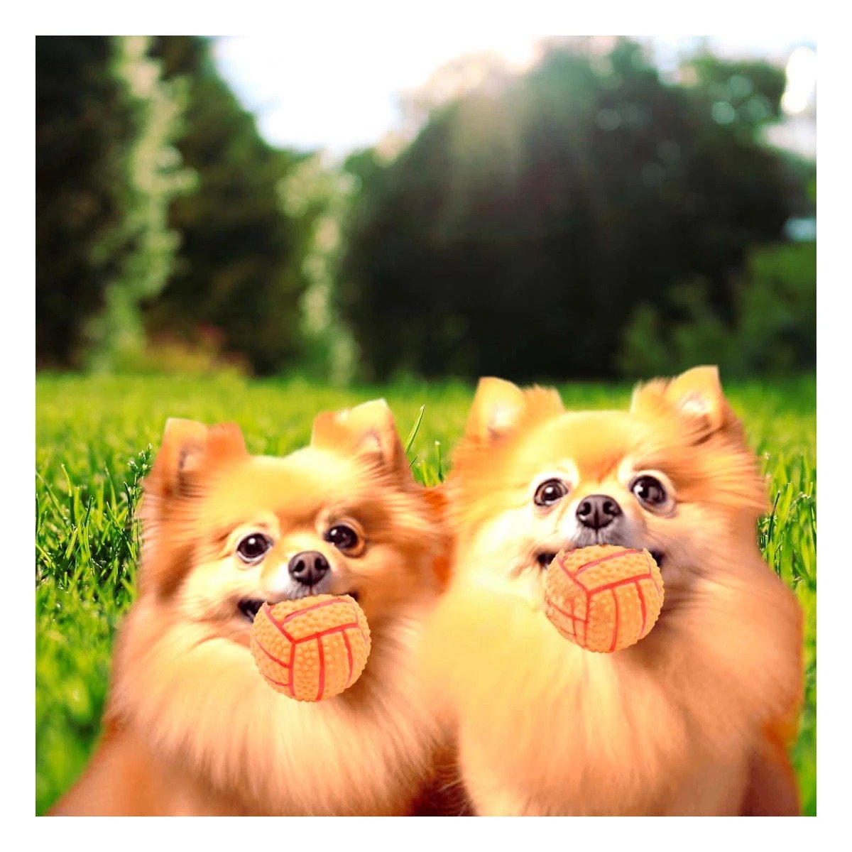 PACK6 SET RESISTENTE PARA PERRO A RAYAS DE CAUCHO ANARANJADO SONIDO DIVERTIDO Y+PAPEL REGALO - 5