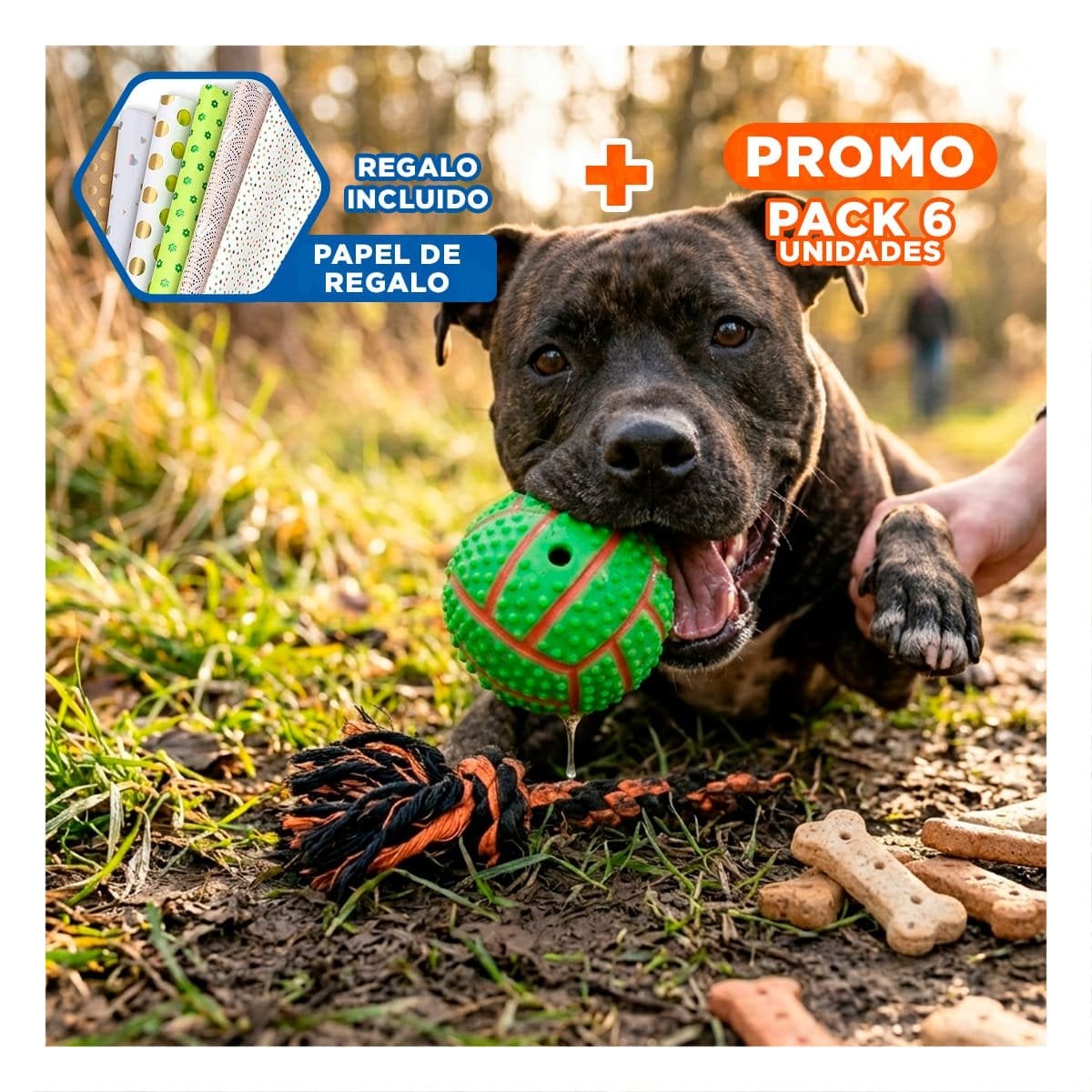PACK6 SET RESISTENTE VERDE PARA PERRO A RAYAS DE CAUCHO CON SONIDO Y+PAPEL REGALO - 1
