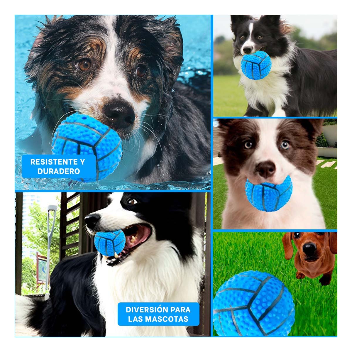 PACK4 SET PEQUENO PARA PERRO A RAYAS DE CAUCHO CON SONIDO Y RELIEVE AZUL Y+REGALO STICKER - 2